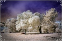 /album/fotogaleria-fotografia-infraroig/s-inpixio-640x480-jpg/